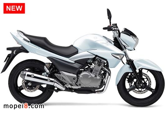 ľSUZUKIlDGSR250Ħ܇
