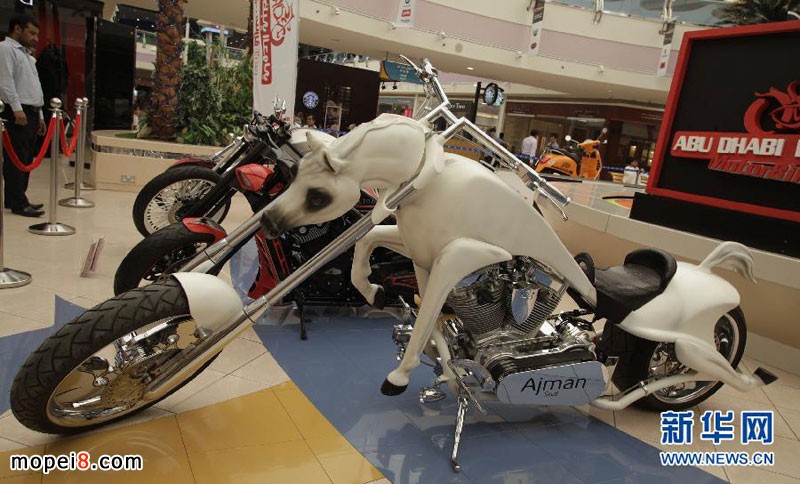 阿布扎比國際摩托車展上一款特形摩托車馬形摩托車