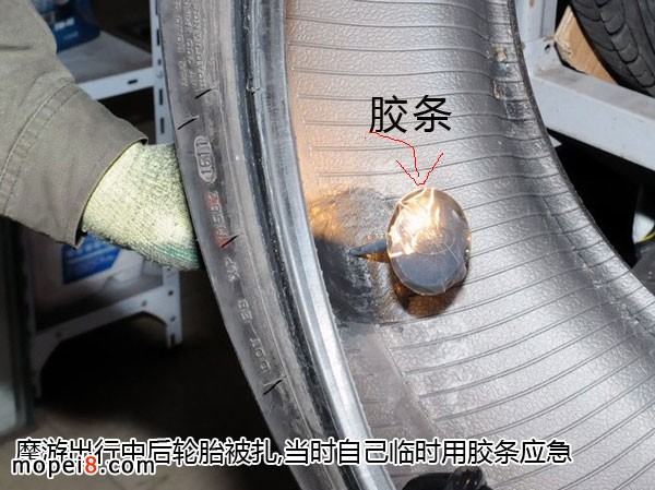 用蘑菇丁法修補GTL的后輪