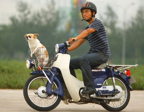 本田HONDA超級幼狐Super CUB50