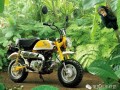 HONDA""1967-2014MINIĦ܇