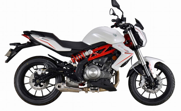 錢江藍寶龍摩托車BJ300GS