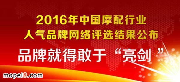 2016中國摩托車配件行業人氣品牌公布