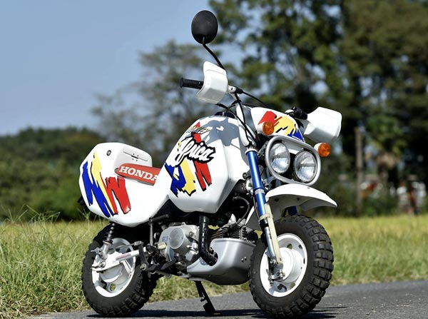 1996Mo<em></em>nkey Africa非洲猴子摩托車