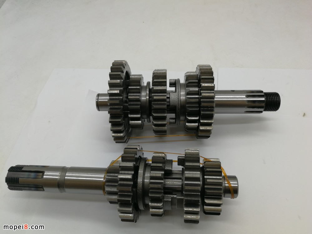 pTQM250GYnλX݆MGS250S